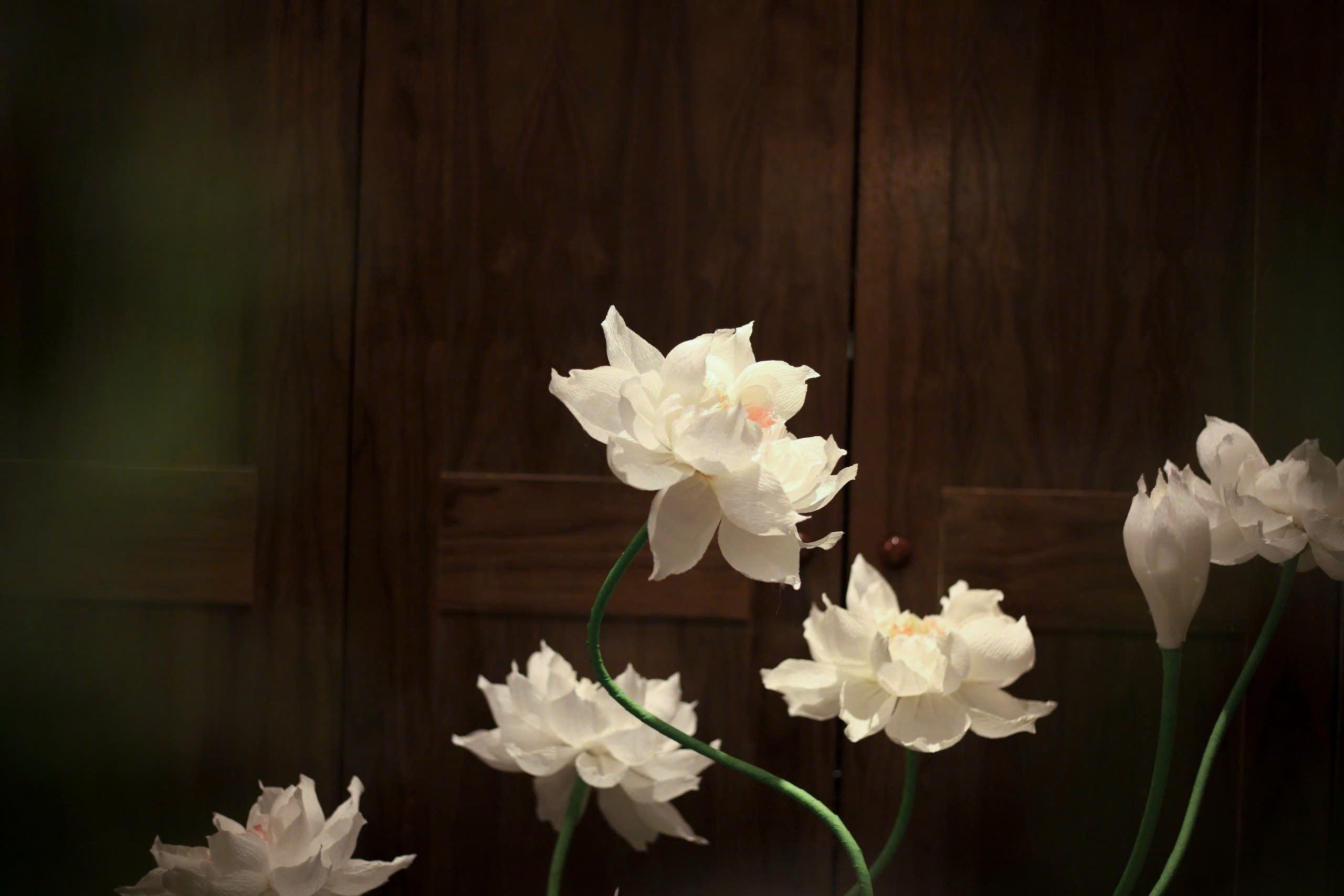 Moonlit Lotus