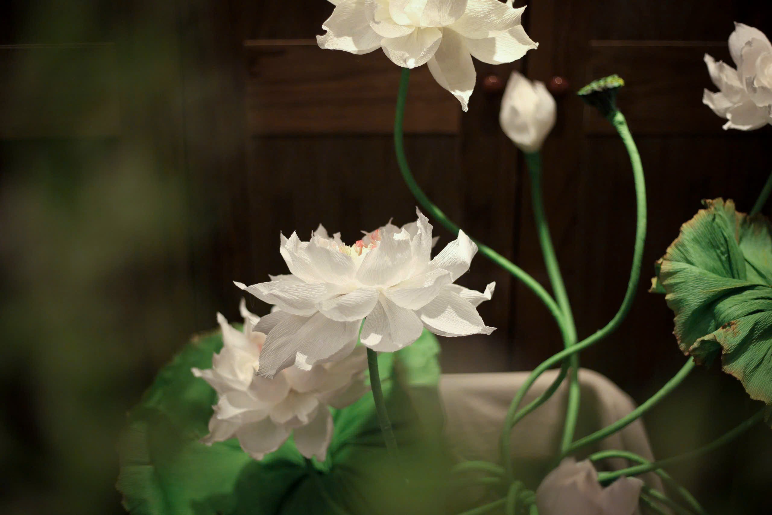 Moonlit Lotus