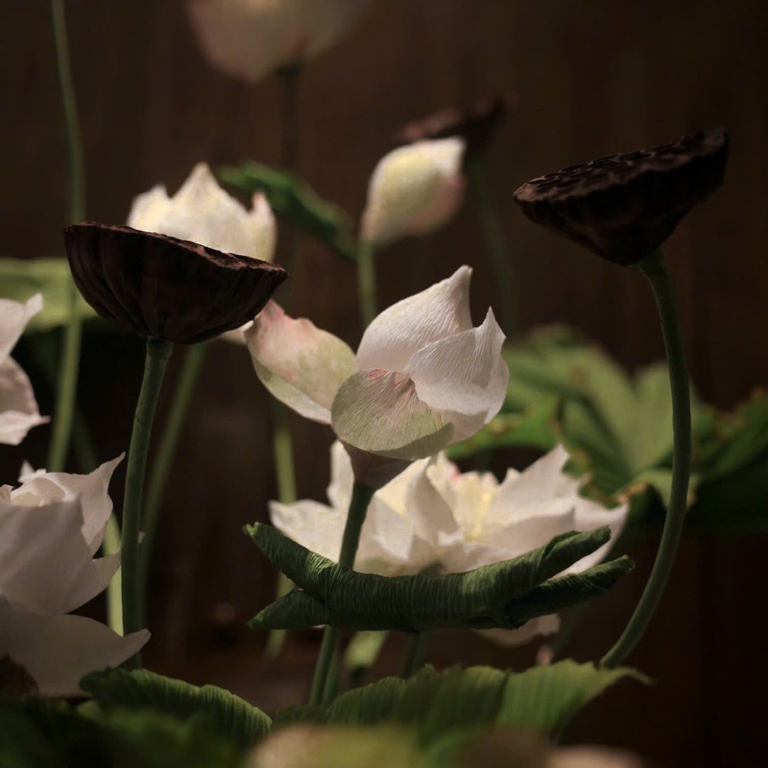 Moonlit Lotus