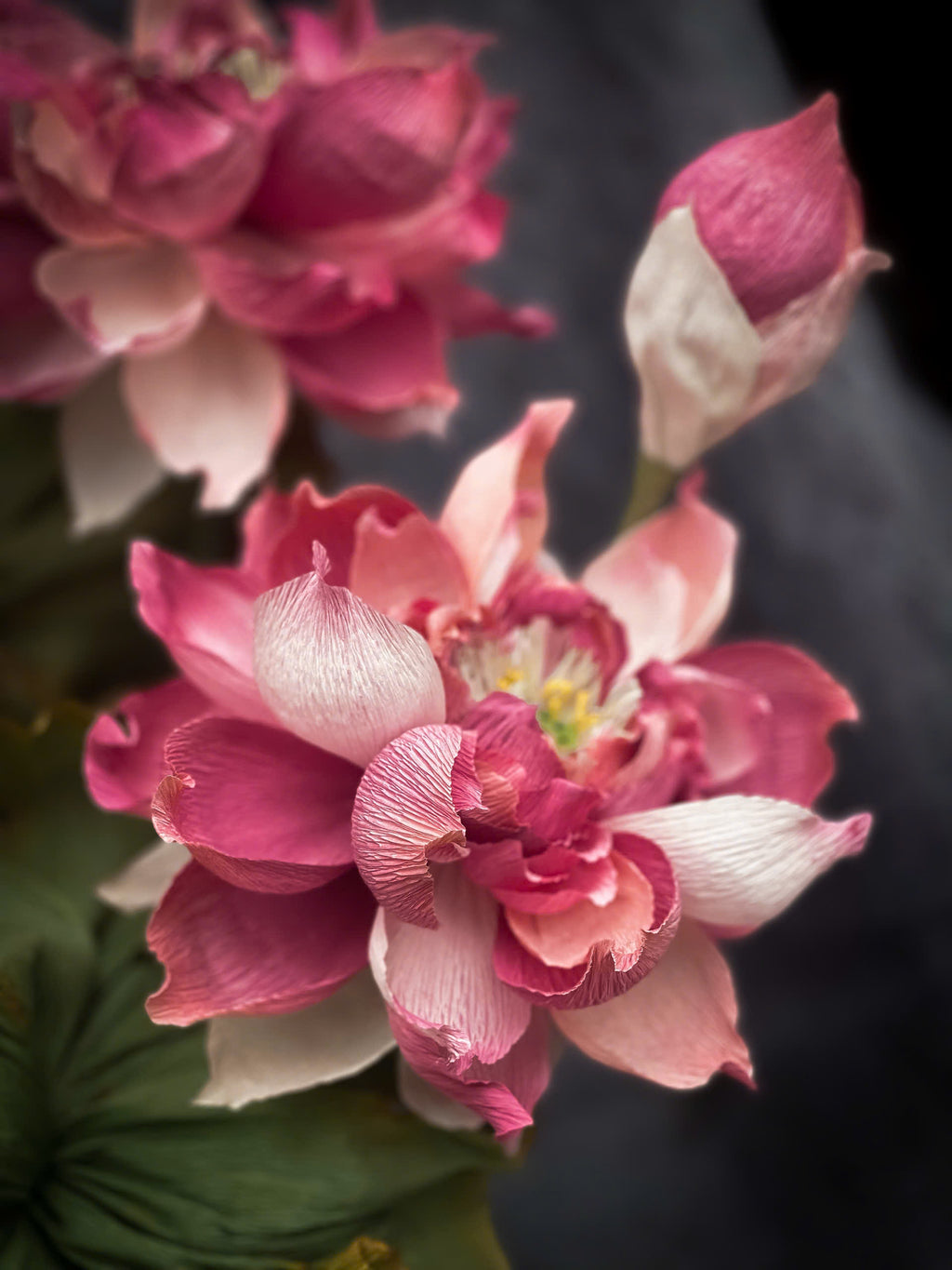 Goddess Blossom