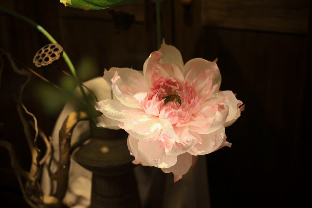 Imperial Lotus