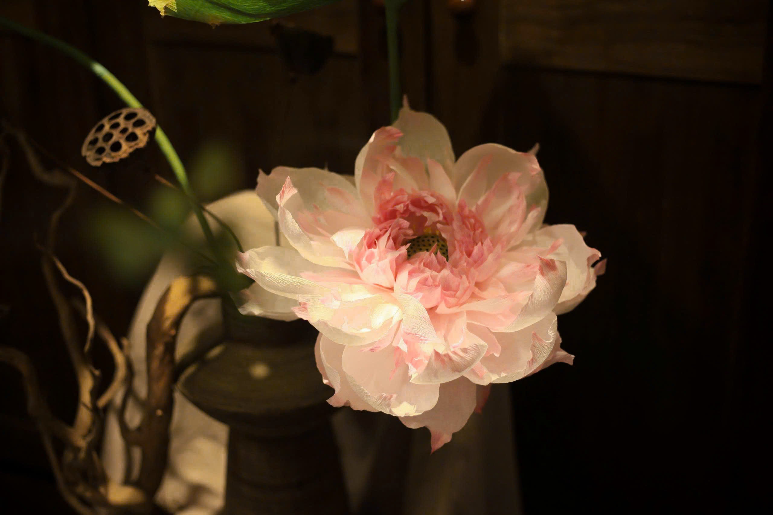 Imperial Lotus