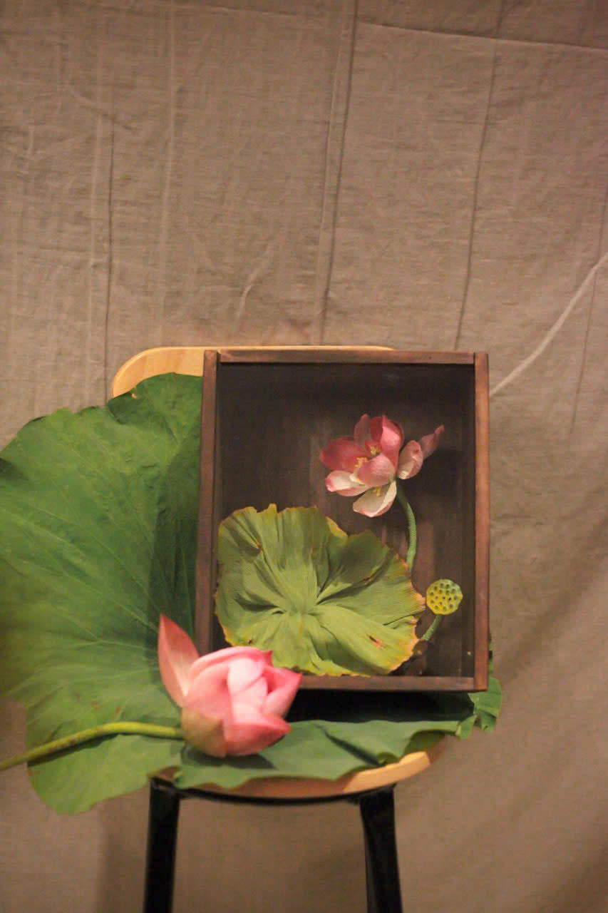 Solitary Lotus